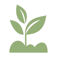 plants