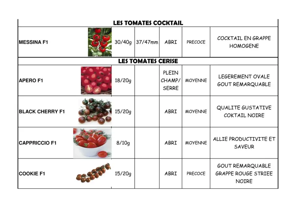 variété de tomate
