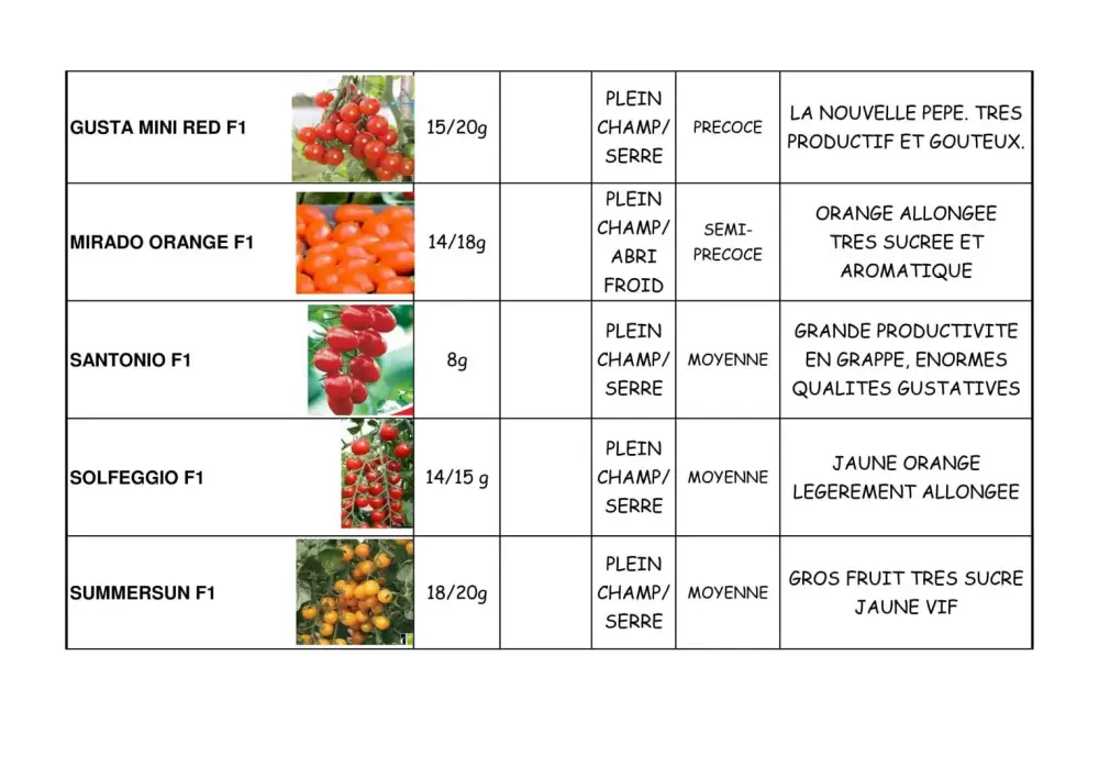 variété de tomate