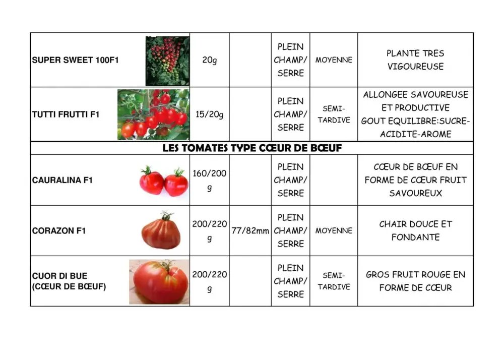 variété de tomate