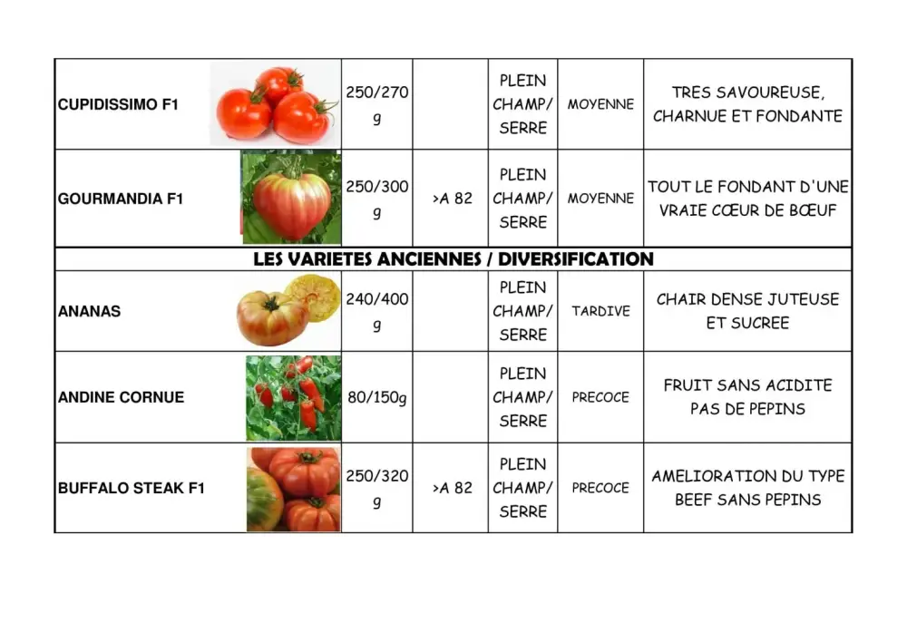 variété de tomate