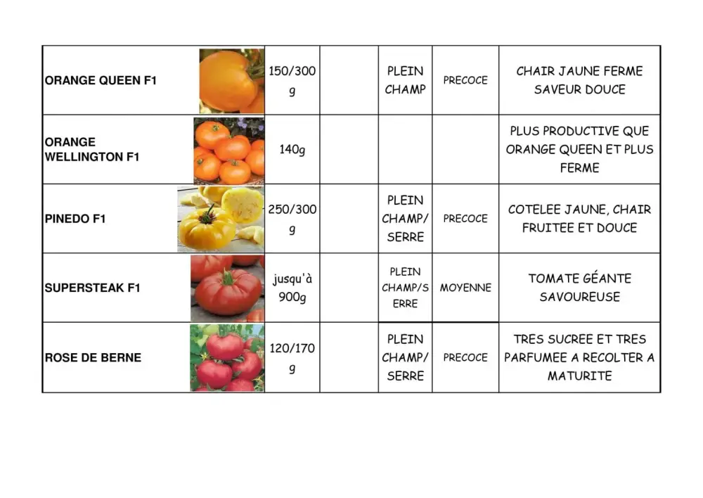 variété de tomate