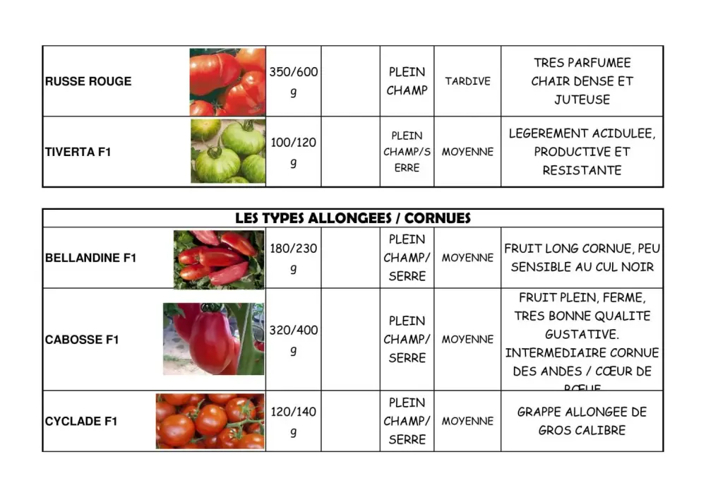 variété de tomate
