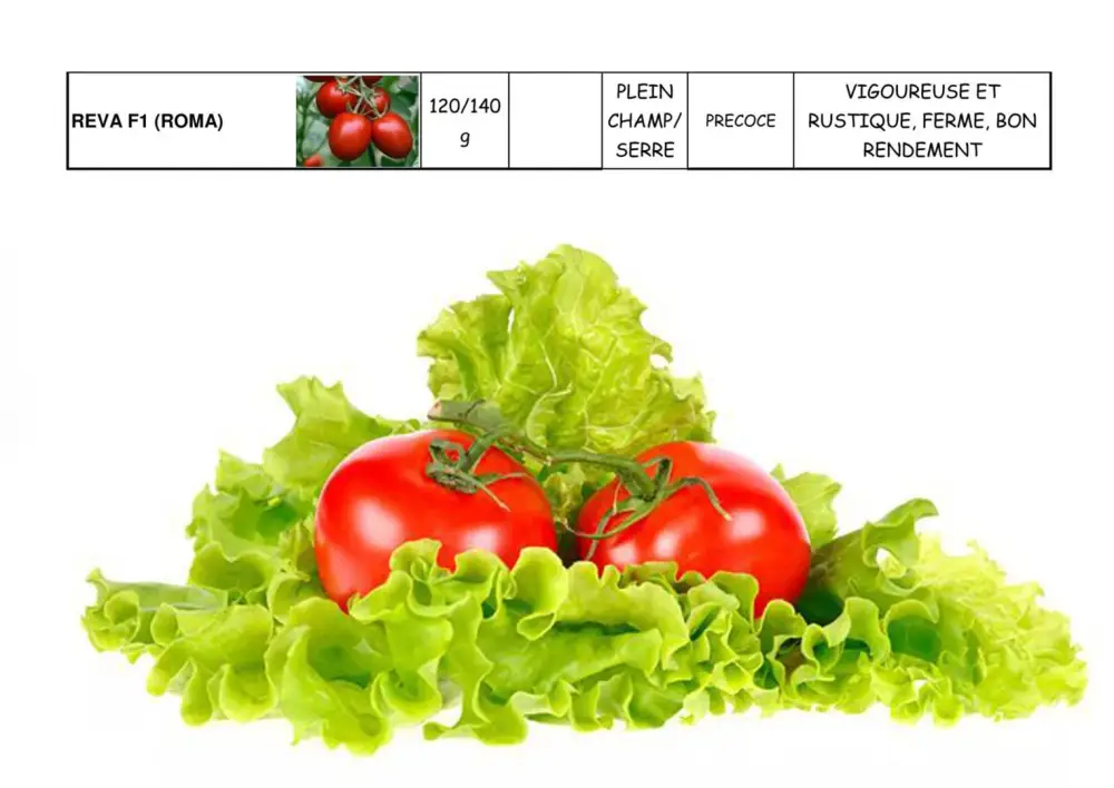 variété-de-tomate