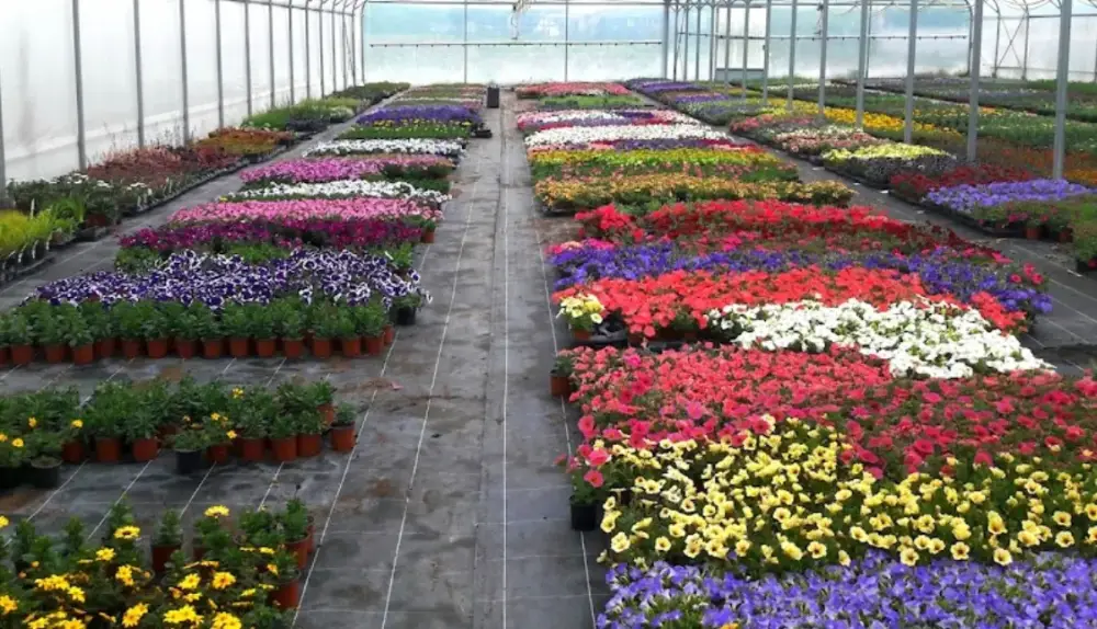 Horticulture Michaëlis - produits