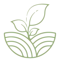 plant vert